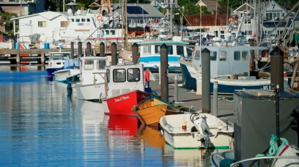 A group of boats docked in a harbor.