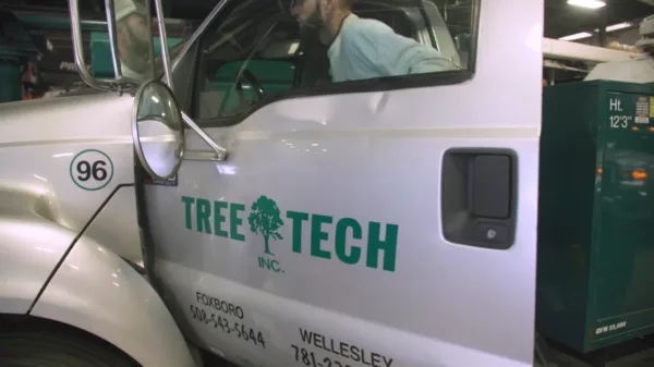 A man in a truck with the tree tech logo on it.