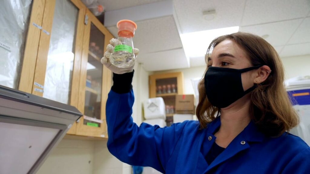 Northeaster University College of Engineering