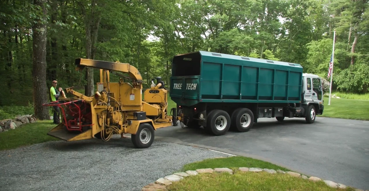 Tree Tech Recruiting