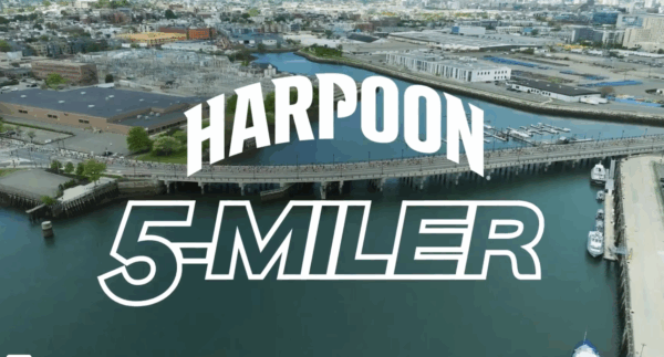 Aerial view of a waterfront city with a pier, overlaid with the text "Harpoon 5-Miler.